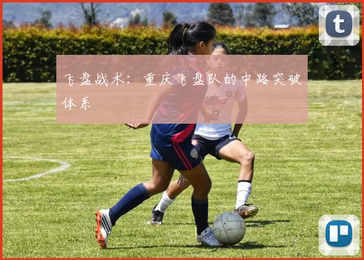 飞盘战术：重庆飞盘队的中路突破体系