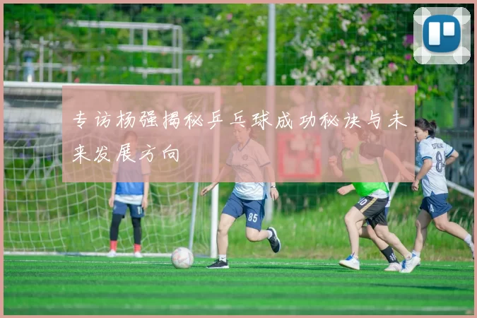 专访杨强揭秘乒乓球成功秘诀与未来发展方向