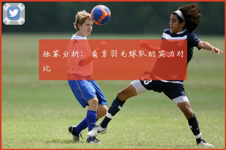 独家分析：南京羽毛球队的实力对比