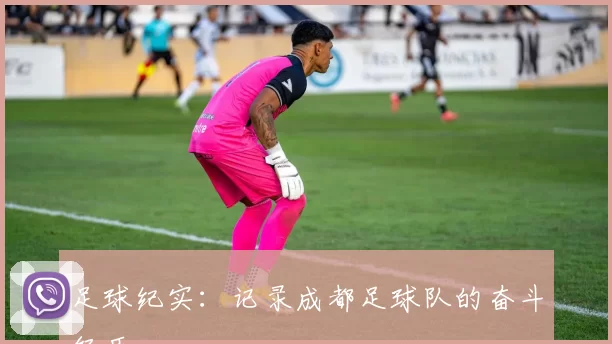 足球纪实：记录成都足球队的奋斗经历