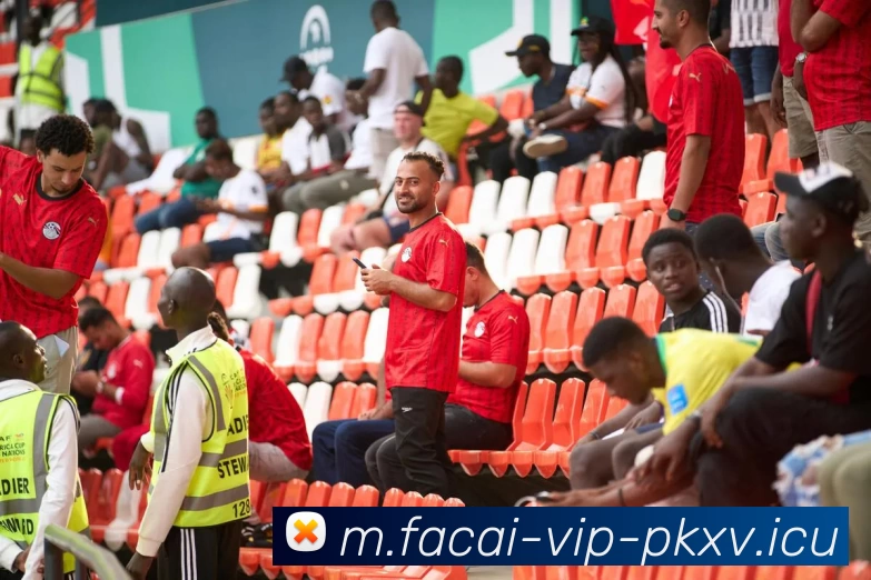 MK体育注册平台生态图