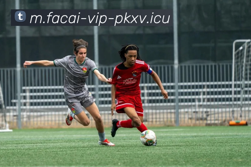 MK体育注册全站App